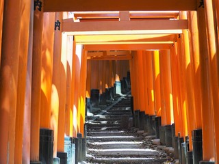 伏見稲荷大社の千本鳥居（日本京都府）