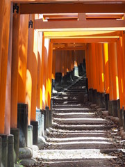伏見稲荷大社の千本鳥居（日本京都府）