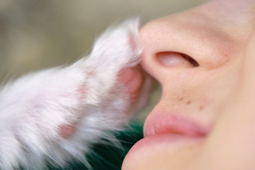 White kitten paw touches a person's face close up