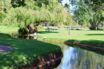 Obraz premium Park in Adelaide, Australia