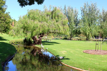 Obraz premium Park in Adelaide, Australia