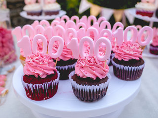 Red berry cupcakes with pink cream and 