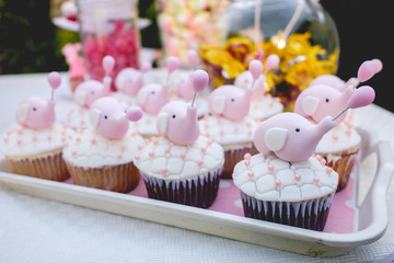 Cupcakes with white sugar decoration and sugar elephant, and other candies and decorations. From baby girl celebration
