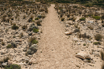 Outback hiking path