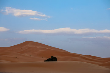 Fototapeta na wymiar Desert in Morocco.