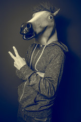 Caballo 4