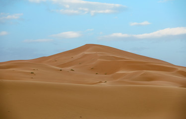 Fototapeta na wymiar Desert in Morocco.