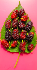 Mulberry on a table