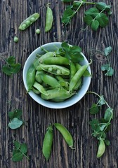 young pods of green peas in a cup on the background of nature. country style. 