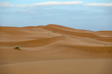 Desert in Morocco.