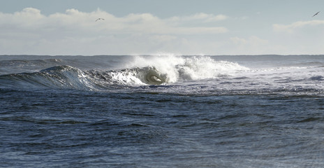 Fototapeta premium wave