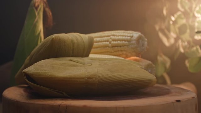 Typical Brazilian food made with corn, called Pamonha