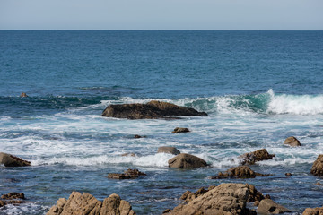 17-Mile Drive Beach Waves