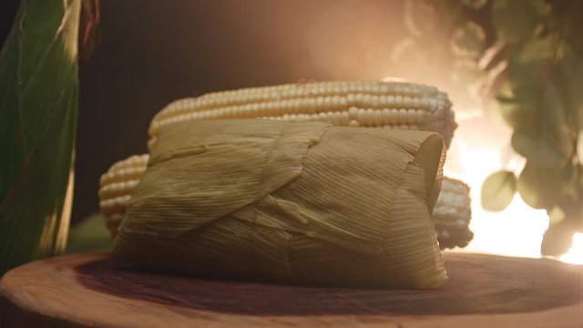 Typical Brazilian food made with corn, called Pamonha