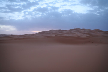 Naklejka premium Dawn in the Sahara Desert.