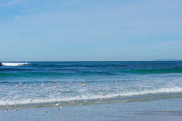 Ocean Waves