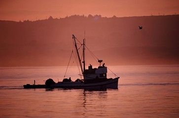 Fishing boat returning from the sea at sunrise in Monterey Bay.