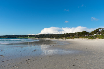 Monterey Bay Beach