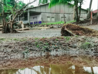 Casa típica de Bahía Solano, Chocó, Colombia con reflejo en las charcas de agua que se forman con la abundante lluvia.