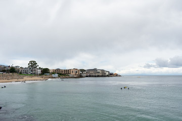 Fototapeta premium Monterey Bay Beach