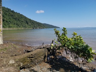 Vista desde la playa ubicada en la Bahía Solano, Chocó, Colombia.