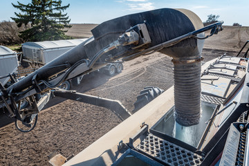 Loading fertilizer from the semi into the air drill for seeding in Saskatchewan, Canada