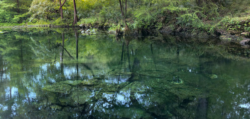 Wes Skiles Peacock Springs State Park, Florida - View of Peacock I Spring
