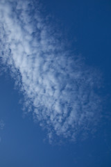 秋の空と雲(11月)