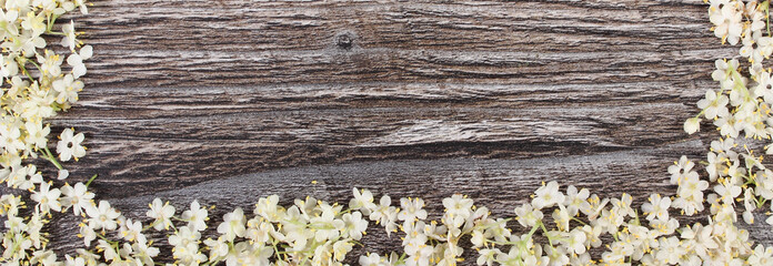 Frame of elderberry flowers on rustic wooden board, copy space for text