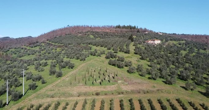 Agricultural fields form geometrical shapes. Aerial forward. Tuscany hills around Sieci Pontassieve, Chianti area of Frescobaldi, Italy