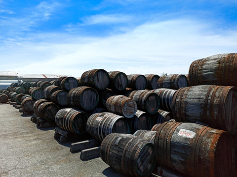 a lot of oak wine casks with madeira wine while maderization on solarium with mountain background. Crimea, Koktebel. Winery.