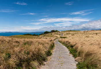 Hiking on top of the Nut in Stanley, Tasmania, Australia.