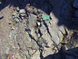 The view of rock in Hachinohe, Japan