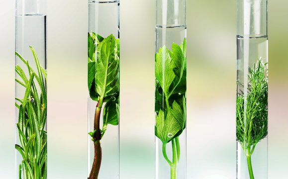 Biofuel.