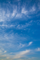 秋の空と雲(11月)