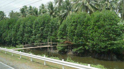 Fototapeta premium Murky irrigation water running along a national highway with a wooden hanging bridge in the Philippines.