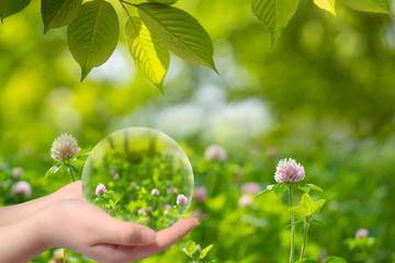 신록이 우거진 초원에서 들꽃과 함께 아이와 엄마가 함께 하는 모습