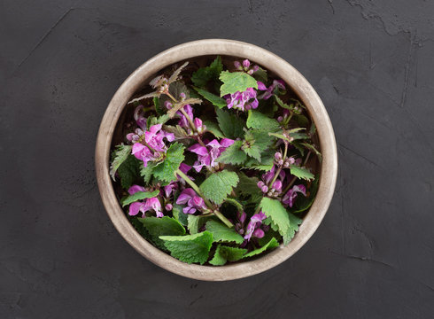 Lamium purpureum in a wooden bowl on a concrete background. Red dead-nettle, purple dead-nettle, or purple archange for culinary and herbal medicine. Edible spring plant
