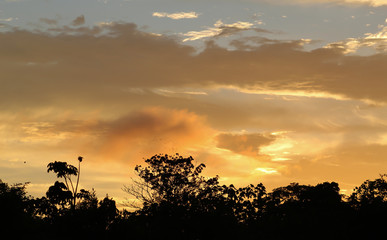 Fototapeta na wymiar sunset in the amazon river