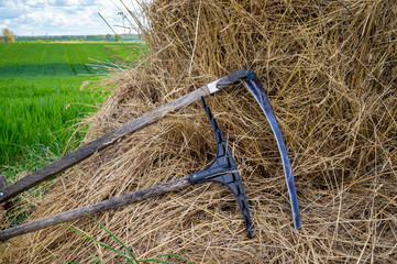 Rake and scythe on dried straw in a field