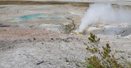 Late Spring in Yellowstone National Park: Overlooking Black Growler Steam Vent in the Norris Geyser...