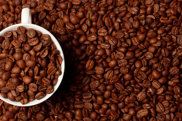 White cup with coffee beans. Coffee in beans macro. Abstract background texture.Coffee beans texture. Food background of coffee beans
