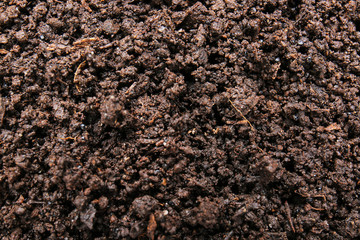Texture of soil as background