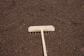 Rake wooden, Wooden raking for spreading pepper seeds to be dried under the sun. Pepper planters...