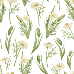 Fototapeta na wymiar Watercolor seamless pattern with chamomile flowers. Wild flowers and grass. Vintage botanical background for textile, wallpaper, wrapping, medical and cosmetic purposes