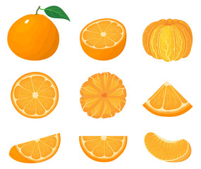 Set of fresh whole, half, cut slice tangerine or mandarin fruits isolated on white background. Summer fruits for healthy lifestyle. Organic fruit. Cartoon style. Vector illustration for any design. - 350800390