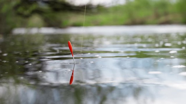 Fishing on a river or lake. The float is moving in the waves. Fish grabs bait