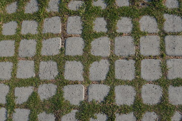 Textura suelo de baldosas y c&eacute;sped