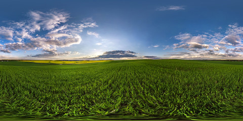 full seamless spherical hdri panorama 360 degrees angle view on among fields in spring evening with...
