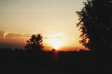 Fototapeta na wymiar Silhouette of trees facing sunset